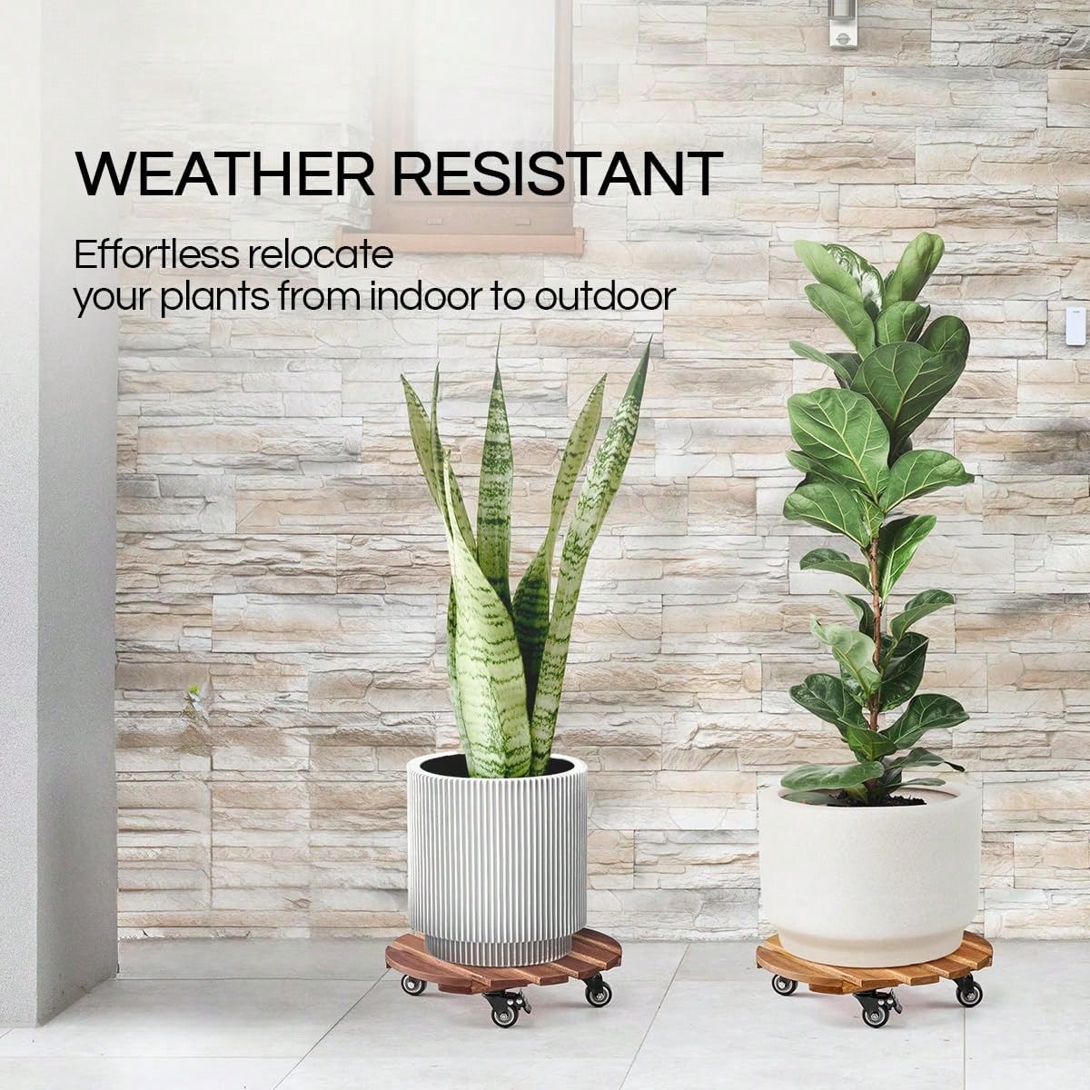 2 Pack 14" Acacia Wood Plant Caddy With Lockable 360° Caster Wheels, 300 LB Heavy Duty Rolling Stand For Indoor Outdoor Planter Pots, Wooden Dolly For Patio (Golden Teak, Round)