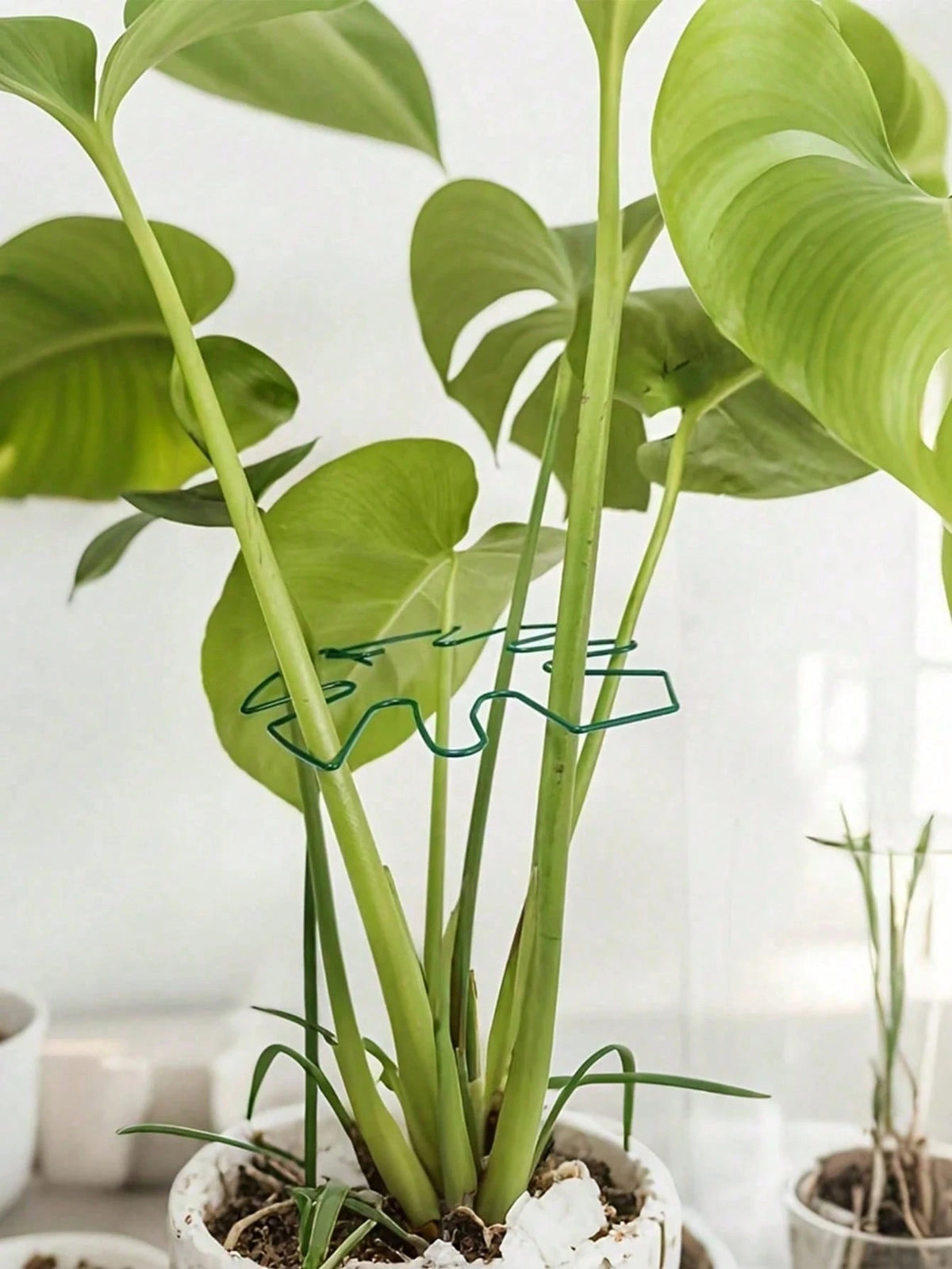 1 Durable Adjustable Plant Support Bracket, Forged Iron Plant Fixing Bracket, Outdoor Potted Plant Fixing Decoration Tool, Plant Stabilizer And Support System- Metal Climbing Plant Trainer, Ideal Cho