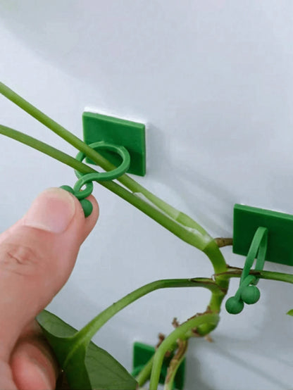 15pcs/30pcs/50pcs Climbing Plant Wall Clips, Plant Wall Clips, Plant Climbing Support Clips, Plant Hooks, Vine Plant Clips, Money Tree Clips, Wall Plant Support Clips, Green Tree Fixing Vine Fixing Cl