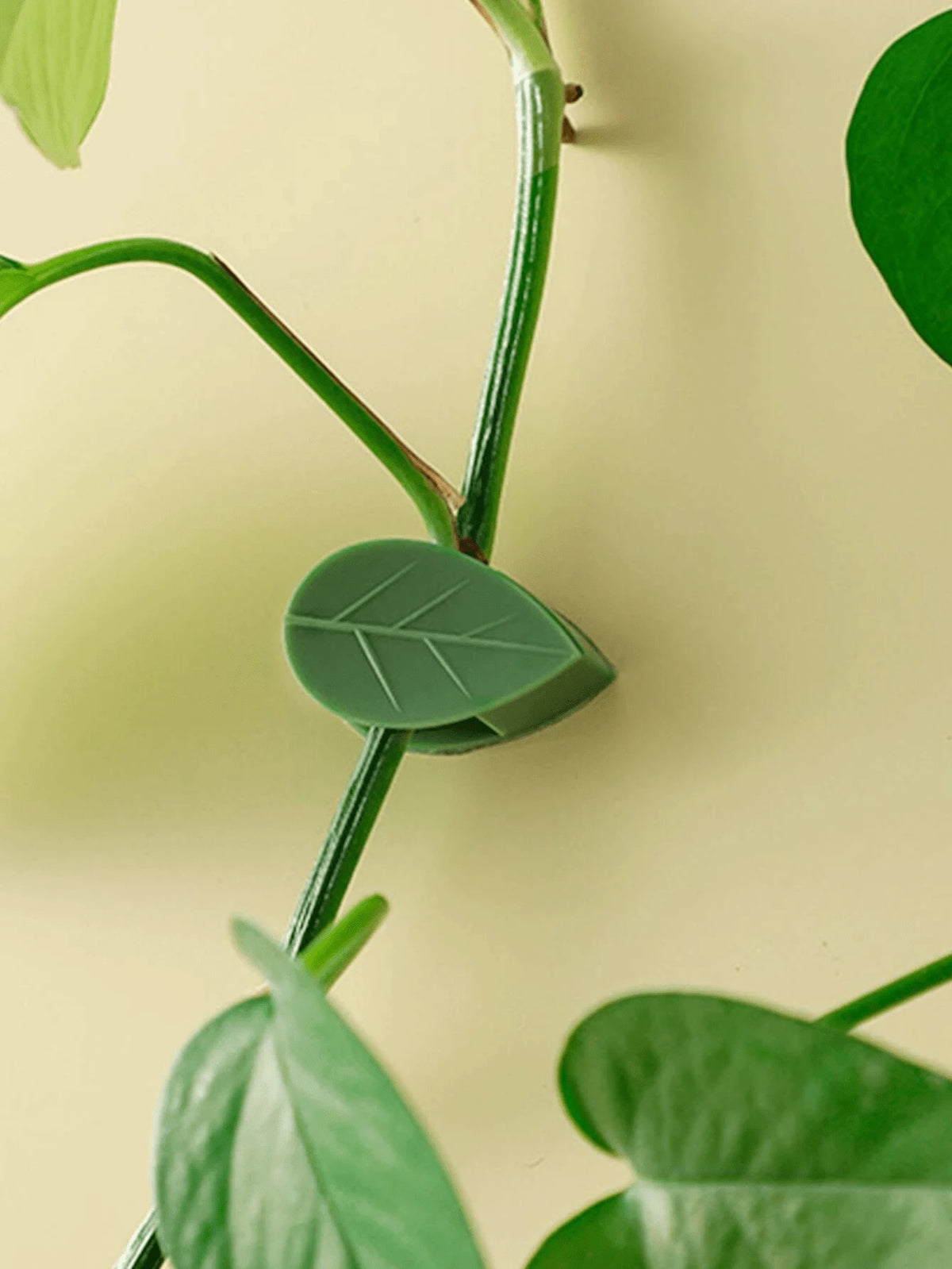 15pcs/30pcs/50pcs Climbing Plant Wall Clips, Plant Wall Clips, Plant Climbing Support Clips, Plant Hooks, Vine Plant Clips, Money Tree Clips, Wall Plant Support Clips, Green Tree Fixing Vine Fixing Cl
