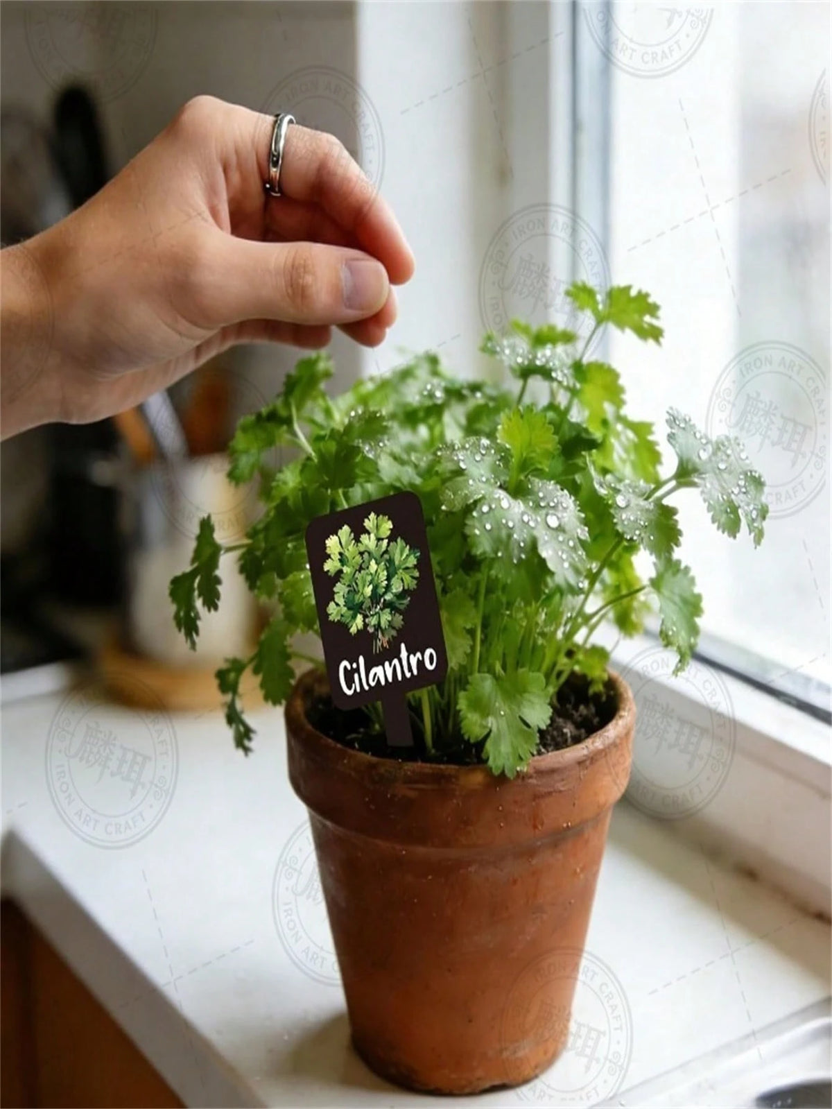 15pcs Wooden Garden Plant Labels, Minimalist Cartoon Plant Pattern, Suitable For Indoor/Outdoor Potted Plants Decoration, Reusable Markers, Essential For Gardening Enthusiasts, Holiday Gift, Home Deco