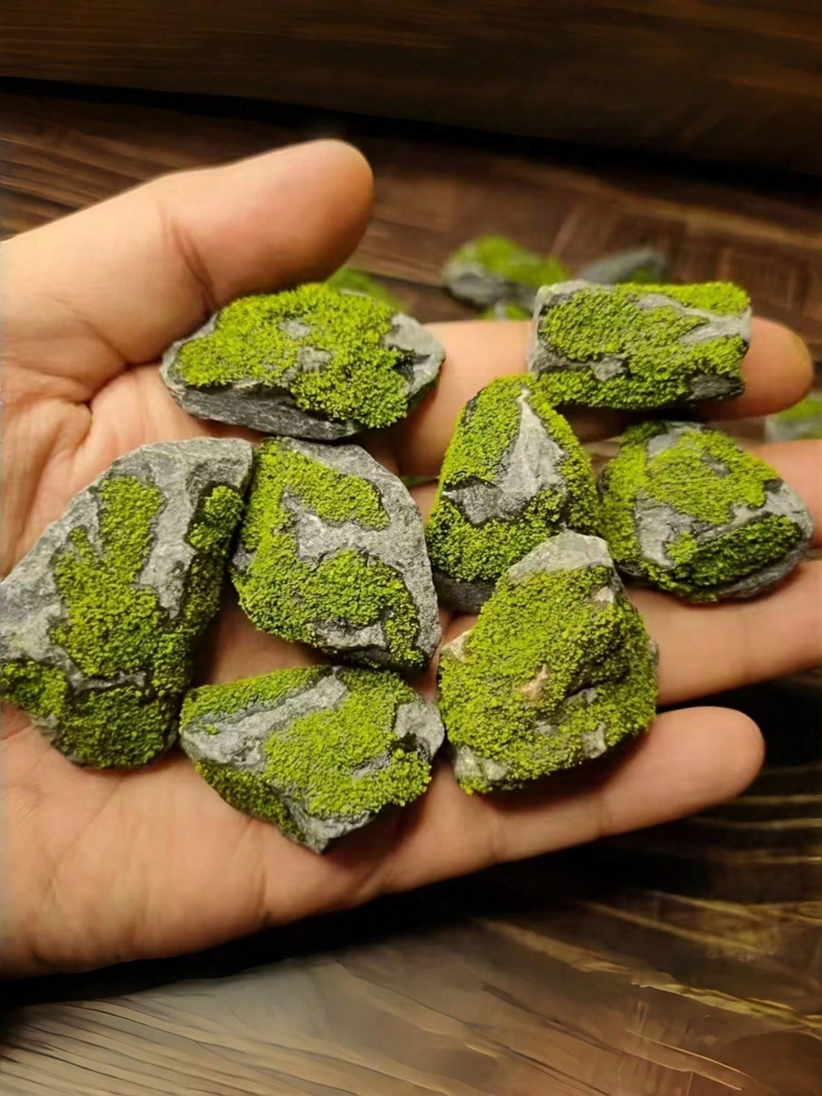 1SET Natural Stones Aquatic Moss Plants Miniature Sculptures Aquarium Decoration For Aquascape Forest Landscape Outdoor Handmade Miniature Scene Building Fish Tank Decor Home Office Gift