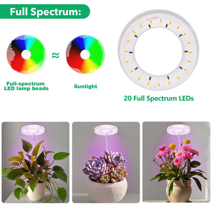 2pcs, Indoor Full Spectrum Grow Light For Plants, Plant Grow Lights, Indoor Imitation Sun Grow Lamp Suitable For Indoor Plant Fleshy Flowers And Small Plants, Promote Plant Growth, Height And Brightne