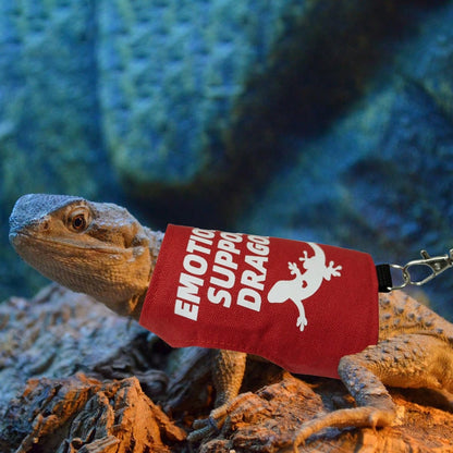 Bearded Dragon Adjustable Harness And Leash Set, Designed To Prevent Escape, Features A Comfortable Walking Vest And A 5-Foot Ty Leash, Perfect For Outdoor Activities, Park Outings, And Exploration