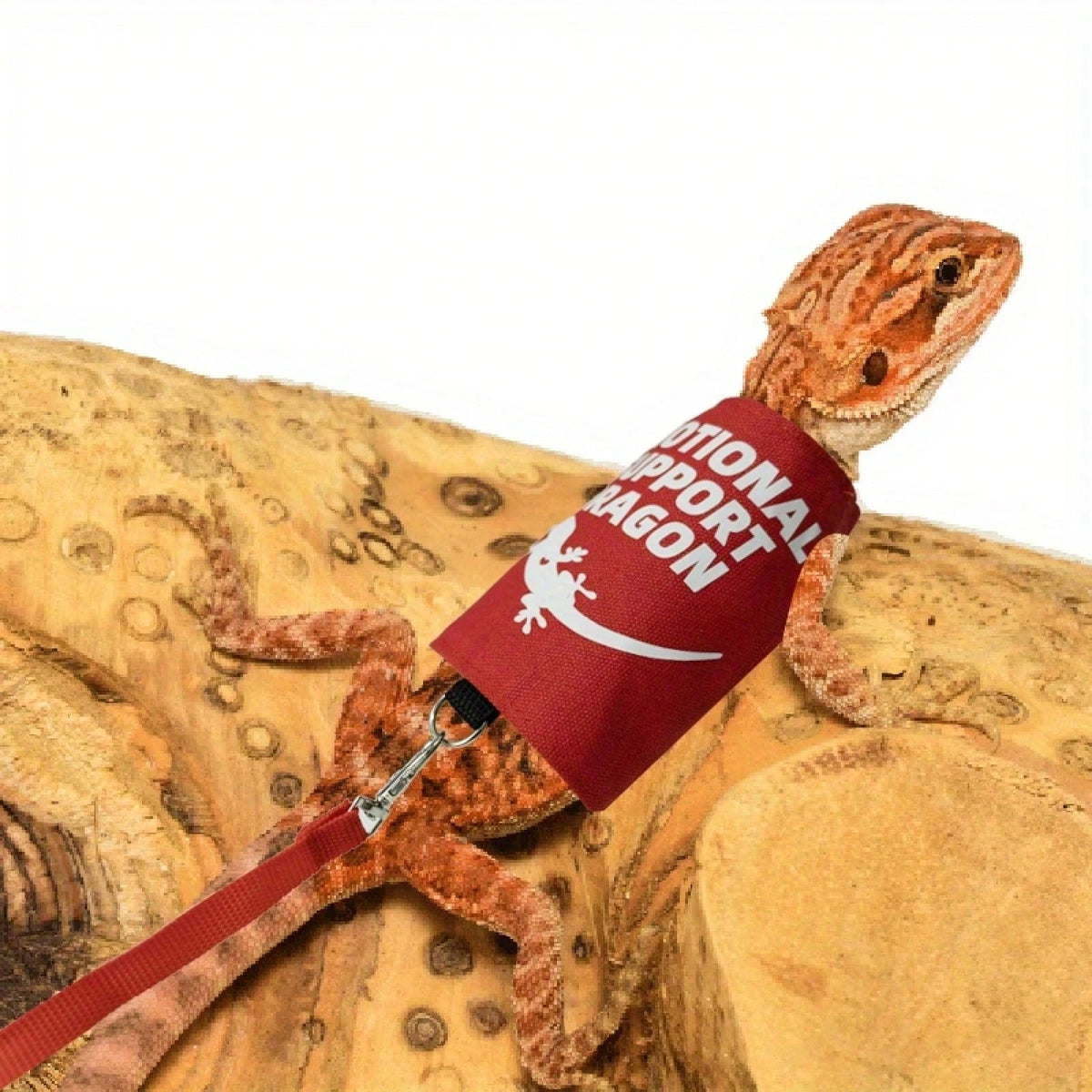 Bearded Dragon Adjustable Harness And Leash Set, Designed To Prevent Escape, Features A Comfortable Walking Vest And A 5-Foot Ty Leash, Perfect For Outdoor Activities, Park Outings, And Exploration