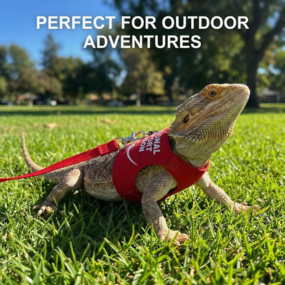 Bearded Dragon Adjustable Harness And Leash Set, Designed To Prevent Escape, Features A Comfortable Walking Vest And A 5-Foot Ty Leash, Perfect For Outdoor Activities, Park Outings, And Exploration