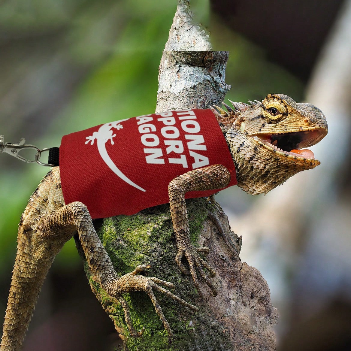 Bearded Dragon Adjustable Harness And Leash Set, Designed To Prevent Escape, Features A Comfortable Walking Vest And A 5-Foot Ty Leash, Perfect For Outdoor Activities, Park Outings, And Exploration