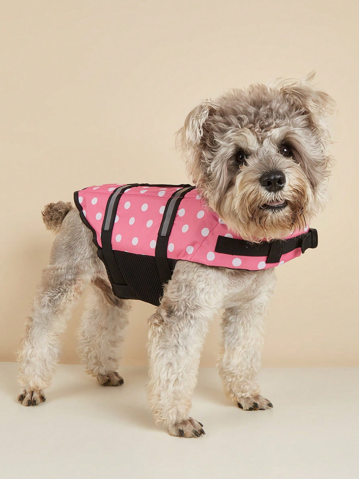 BONAPET Summer Pet High Buoyancy Adjustable Life Jacket, Cat & Dog Swimwear