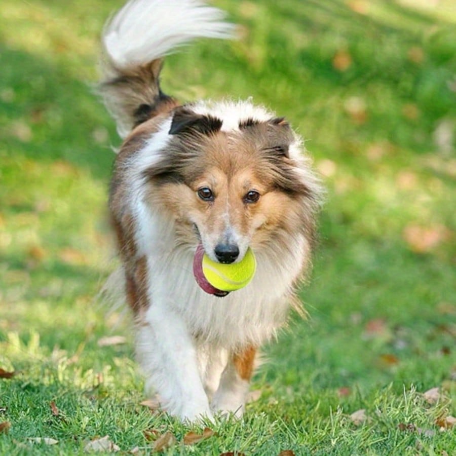 Dog Tennis Balls 6/12PCS, 2-Inch Mini Fetch Balls For Small Dogs, Launcher Compatible Interactive Pet Training Toys For Indoor & Outdoor Use