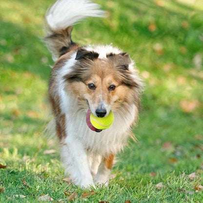 Dog Tennis Balls 6/12PCS, 2-Inch Mini Fetch Balls For Small Dogs, Launcher Compatible Interactive Pet Training Toys For Indoor & Outdoor Use