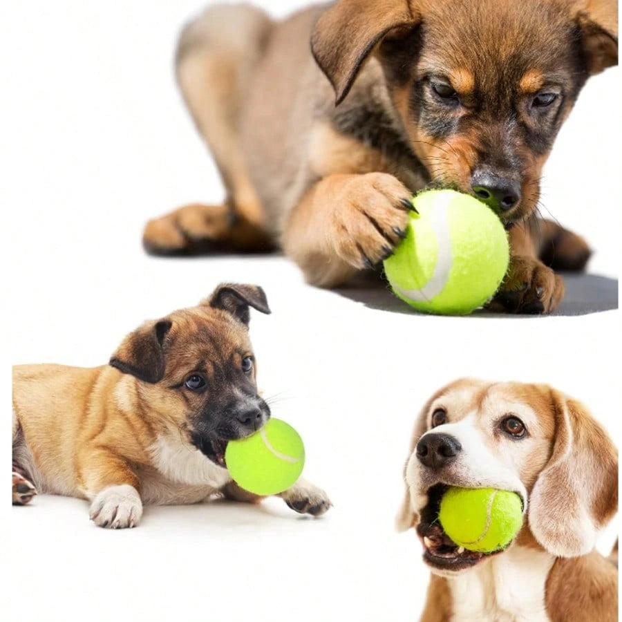 Dog Tennis Balls 6/12PCS, 2-Inch Mini Fetch Balls For Small Dogs, Launcher Compatible Interactive Pet Training Toys For Indoor & Outdoor Use