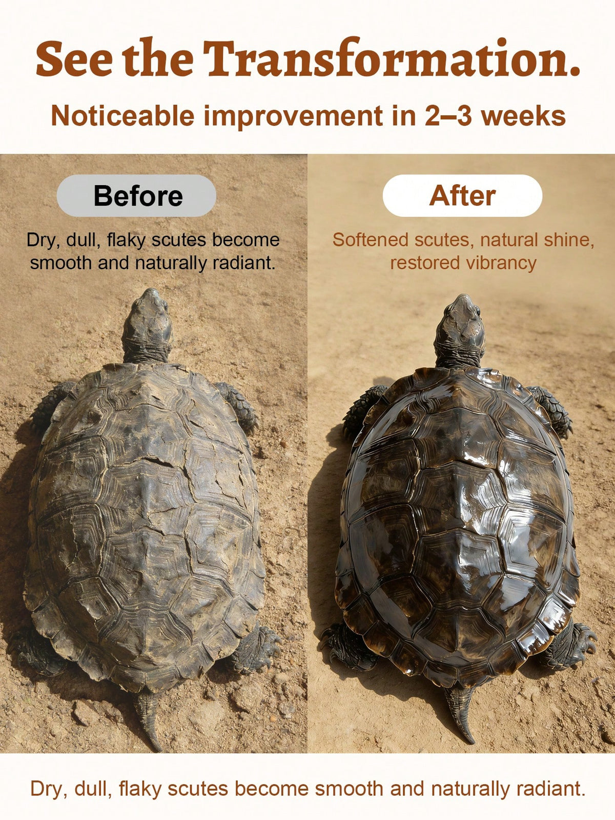 GJYC PET 1 Oz Turtle Shell Care Cream- Shell Care Conditioner, Moisturizer, Cleanser And Protective Wax