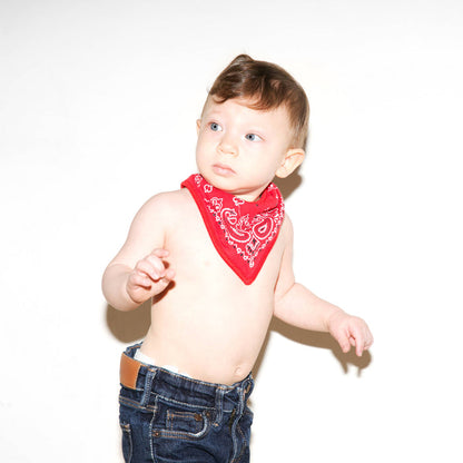 Hipsterkid - Bandana Bibs | Pickles