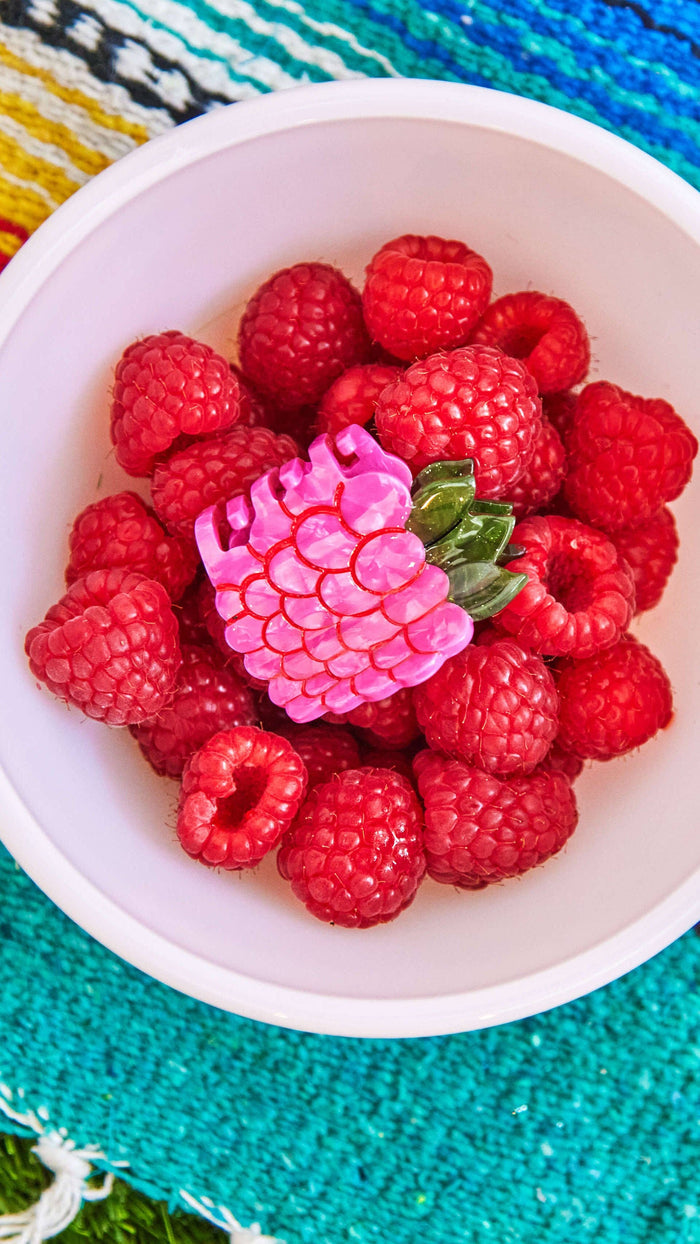 Jenny Lemons Hair Claw Clip - Mini Raspberry