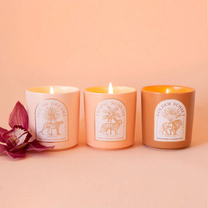 Jungle Club - Isle of Dreams Candle | Agave Nectar, Citrus, & Peach