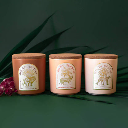 Jungle Club - Isle of Dreams Candle | Agave Nectar, Citrus, & Peach