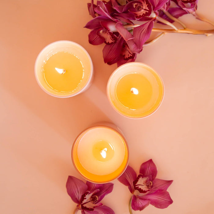 Jungle Club - Isle of Dreams Candle | Agave Nectar, Citrus, & Peach