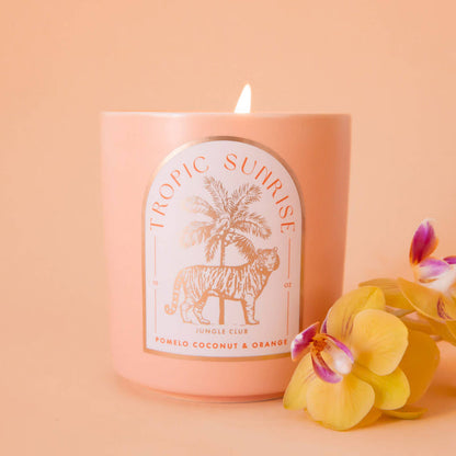 Jungle Club - Tropic Sunrise Candle | Pomelo, Coconut, & Orange