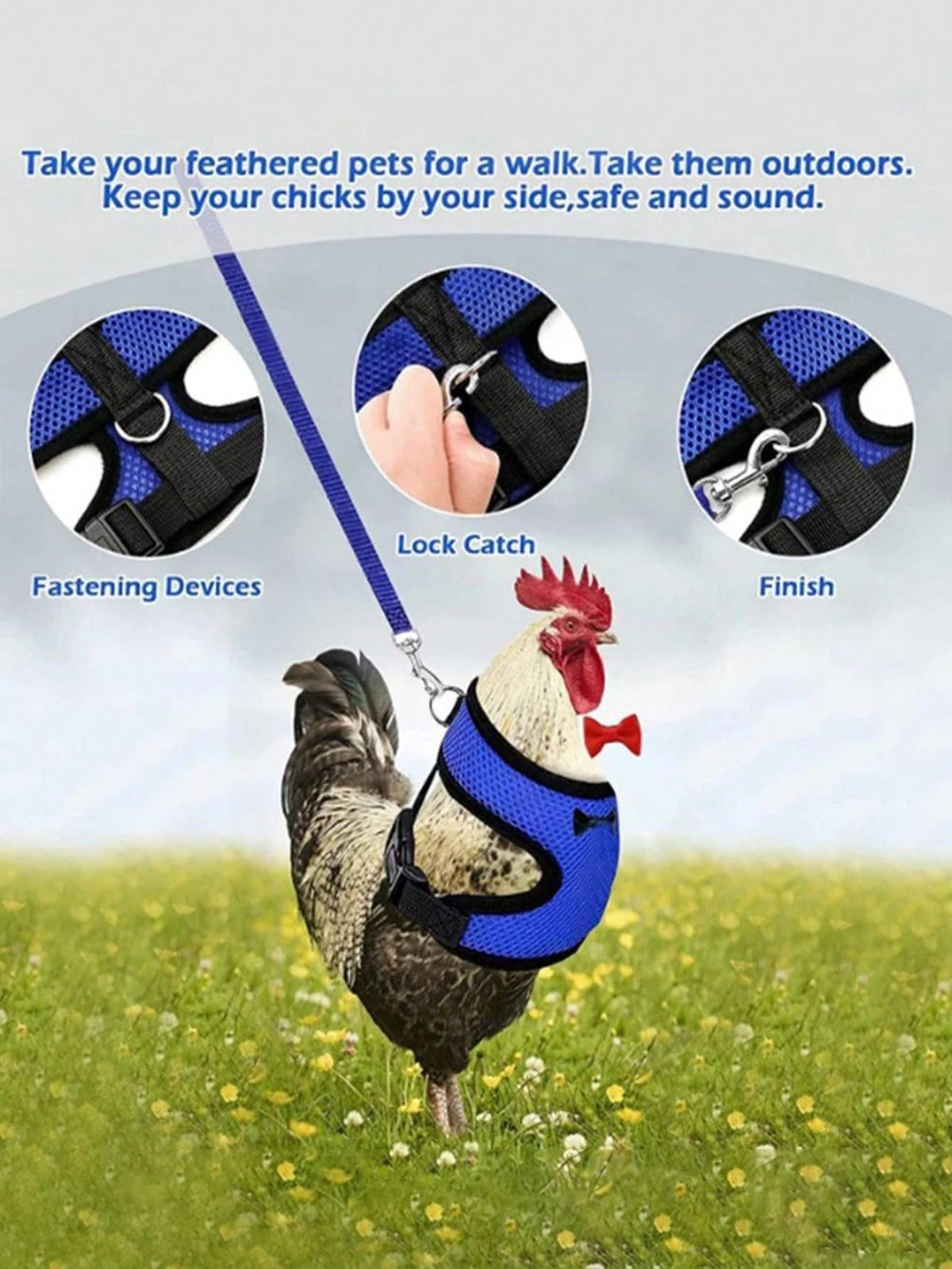 New Design Poultry Harness With Leash For Goose Chicken And Duck, Comfortable, Breathable And Adjustable. 1pc Harness+1pc Leash