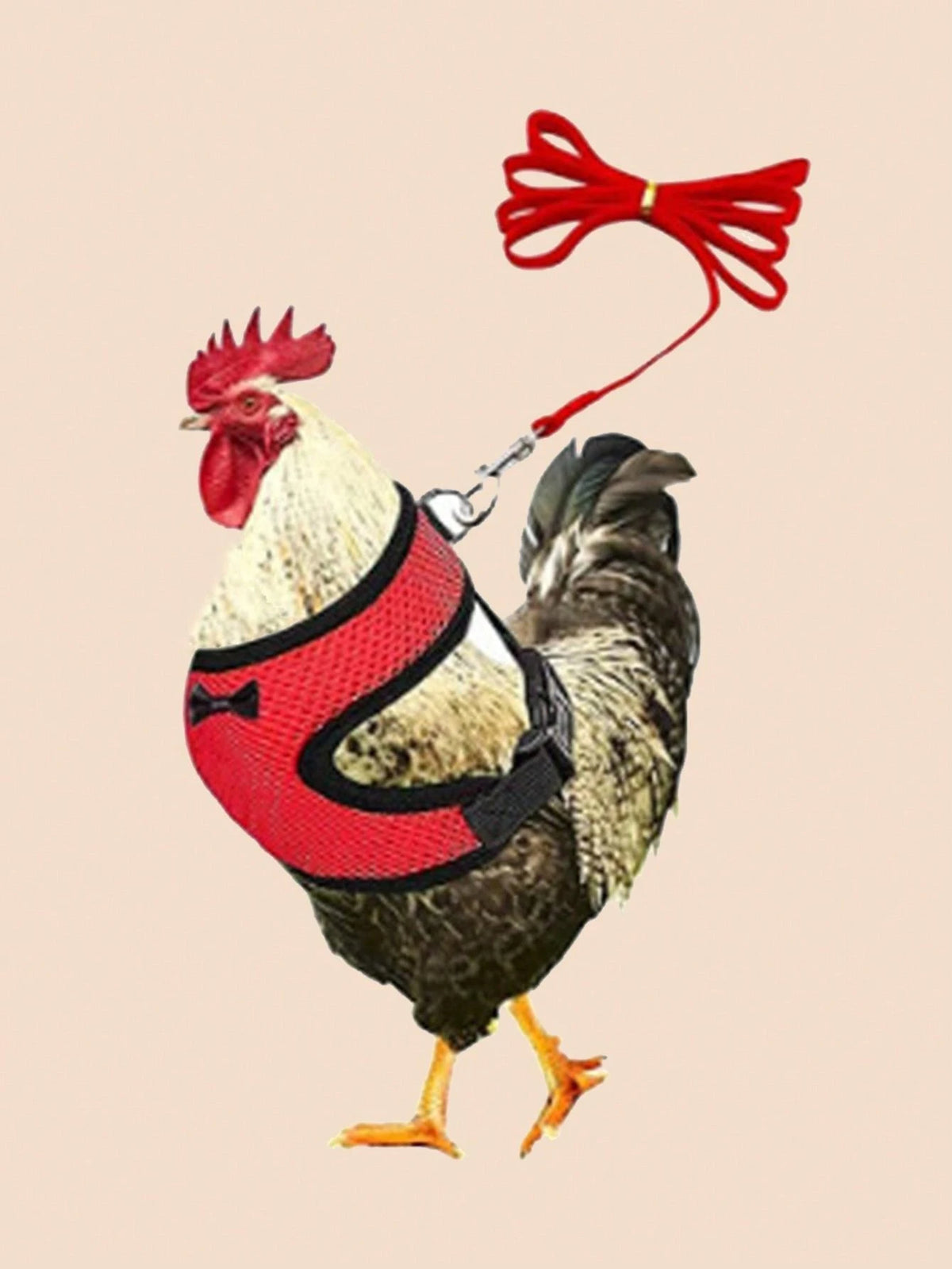 New Design Poultry Harness With Leash For Goose Chicken And Duck, Comfortable, Breathable And Adjustable. 1pc Harness+1pc Leash
