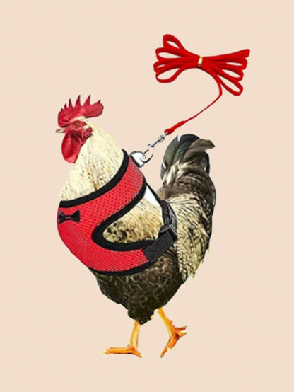 New Design Poultry Harness With Leash For Goose Chicken And Duck, Comfortable, Breathable And Adjustable. 1pc Harness+1pc Leash