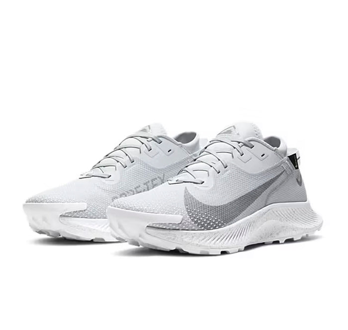 Nike Pegasus Trail 2 Gore-Tex Pure Platinum