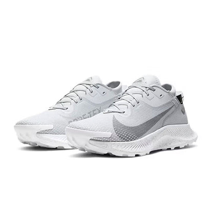 Nike Pegasus Trail 2 Gore-Tex Pure Platinum