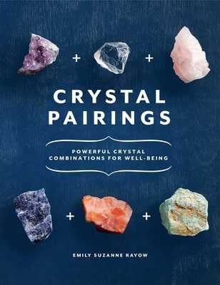 Pre-Owned Stop Your Cravings: Satisfy Your Tastes Without Sacrificing Your Health (Paperback) By Jennifer Workman