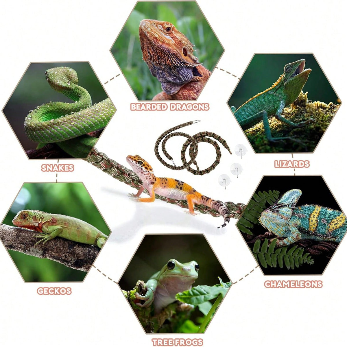 Reptiles Can Climb Vines And Artificial Plants. The Climbing Rope Is Made Of Hand-Woven Parachute Rope And Is Suitable For Lizards, Snakes, Turtles, Frogs And Hermit Crabs. It Can Be Used For Creating